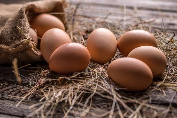 Read more about the article США: USDA снижает общий прогноз инфляции цен на продукты питания, но цены на яйца растут