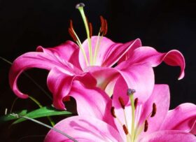 1623a2c2316d110edb1c9fd9ea7bfd6f.jpg